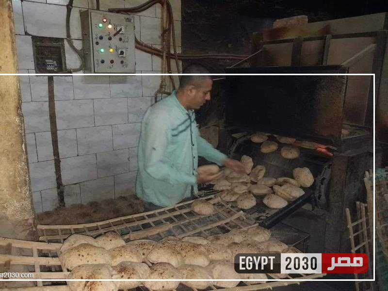 تموين المنيا: 124 مخالفة متنوعة خلال حملات على المخابز البلدية والأسواق