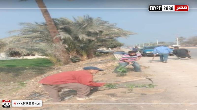جانب من المبادرة