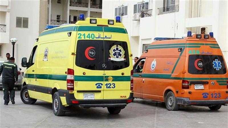 إصابة 11 شخصا في حادث تصادم  مروع بالبحيرة.. اعرف التفاصيل