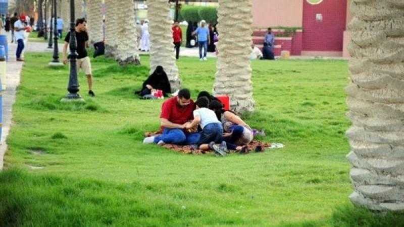 حكم صلاة المرأة في الأماكن العامة.. «الأزهر للفتوى» يوضح