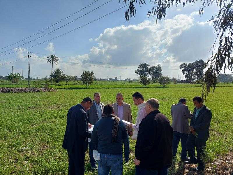 السكرتير العام المساعد للبحيرة يتابع حصر مساحات القمح بمركز دمنهور
