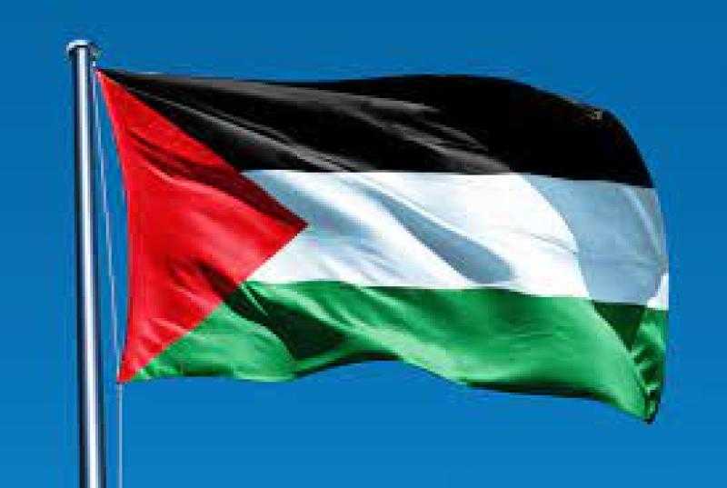 خبير علاقات دولية: مصر الداعم الأكبر للشعب الفلسطيني.. «فيديو»