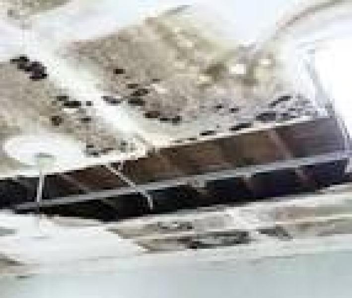 تفاصيل مصرع إمام مسجد بالمنوفية عقب صلاة العشاء