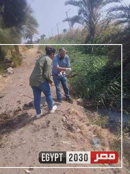 صحة المنيا: حملات مكثفة لمكافحة ناقلات ومسببات الأمراض خلال شهر نوفمبر الماضى
