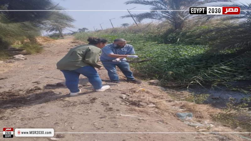 جانب من المتابعة 