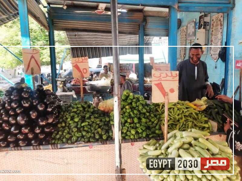 محافظ أسوان: متابعة تطبيق قرار رئيس الوزراء لـ 7 سلع ومواجهة احتكار السلع