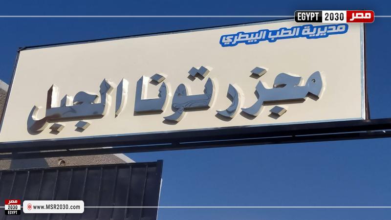 جانب من المتابعة