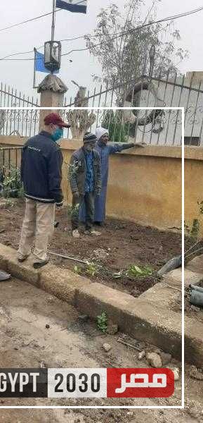 زراعة 200 شجرة بمركزي سمالوط وبني مزار بالمنيا