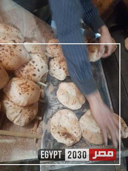محافظ أسيوط: تحرير 328 محضرا تموينيا خلال عدة حملات بمركز ديروط على مدار شهر