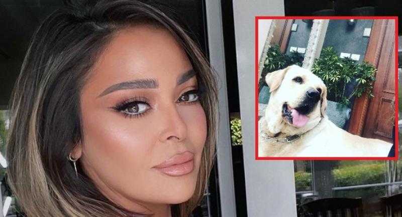 داليا البحيري تنعى كلبتها: لن أنسى أبدا نظرتك الأخيرة لي