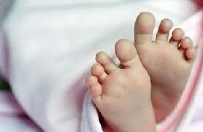 أجهزة الأمن تكثف جهودها لفك لغز العثور على جثة رضيع بالغربية