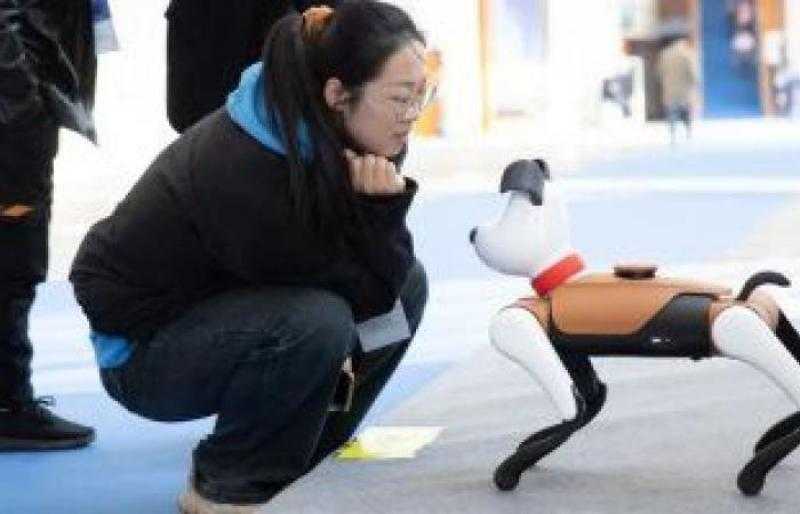 دراسة: اقتناء حيوانات أليفة روبوتية تقلل من نسبة التوتر