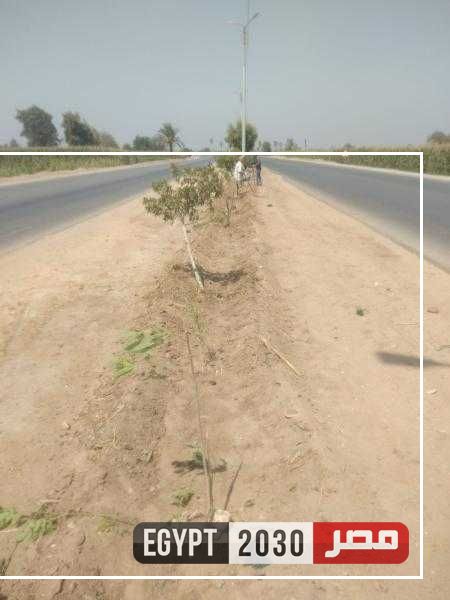 زراعة 215 شجرة مثمرة في مركز مطاي ضمن مبادرة ”100 مليون شجرة”