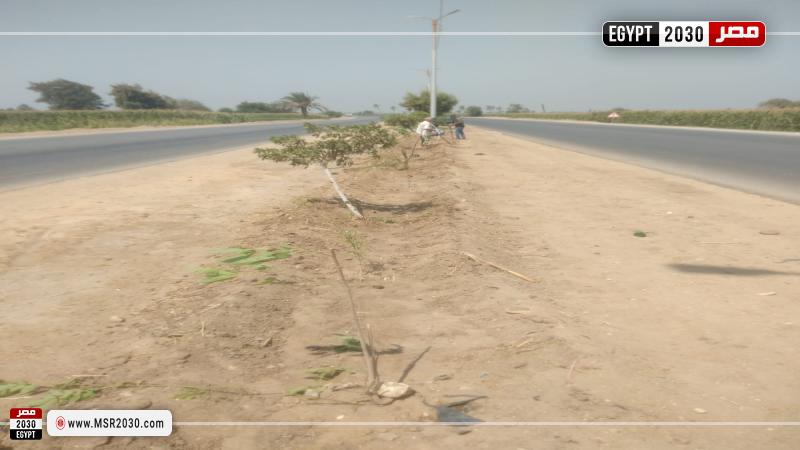 جانب من المتابعة