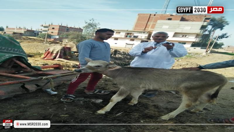 جامعة الزقازيق 