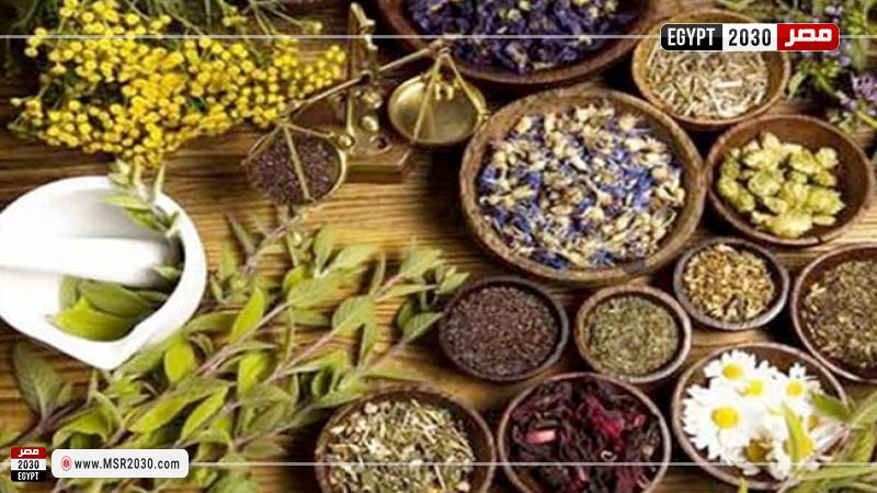 النباتات الطبية 