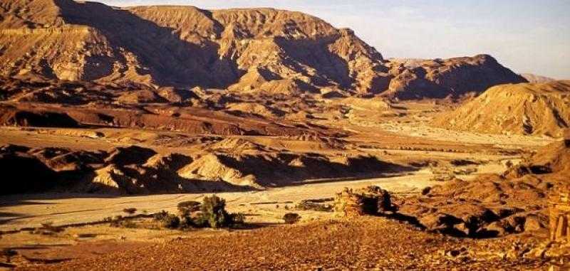 برلماني يكشف حقيقة تملك المستثمر الأجنبي أراضِ بسيناء