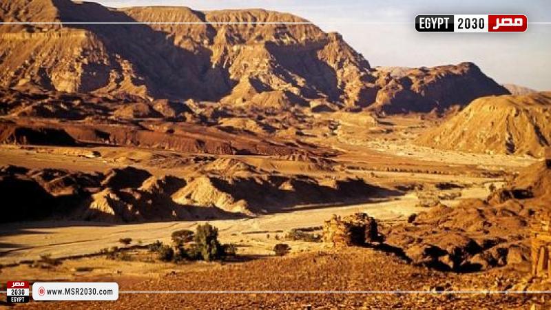سيناء