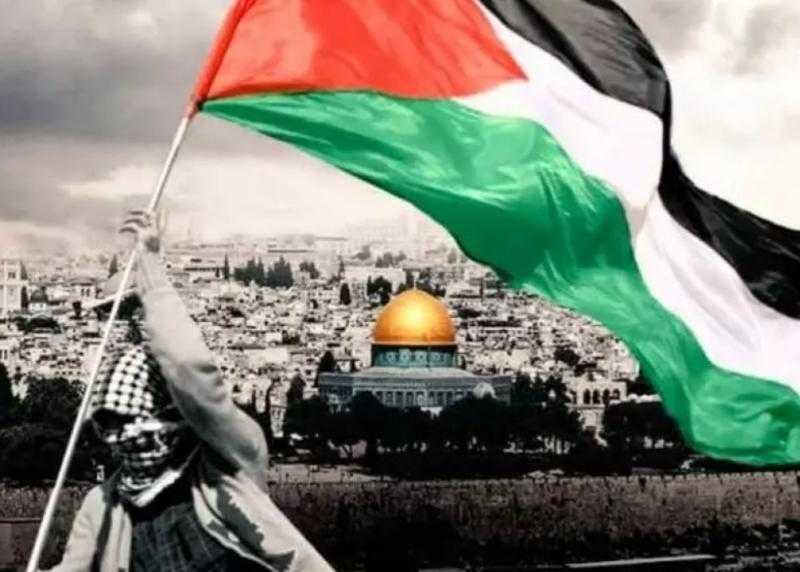 ضياء رشوان يستعرض دور مصر التاريخي في دعم القضية الفلسطينية