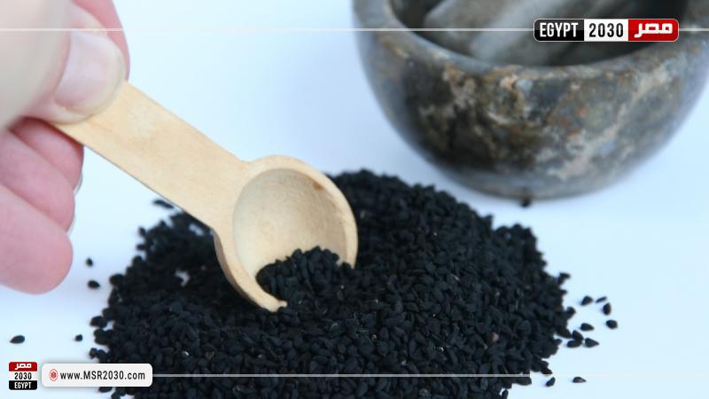 الحبة السوداء