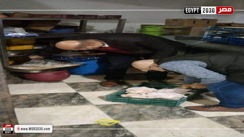 محافظة المنوفية