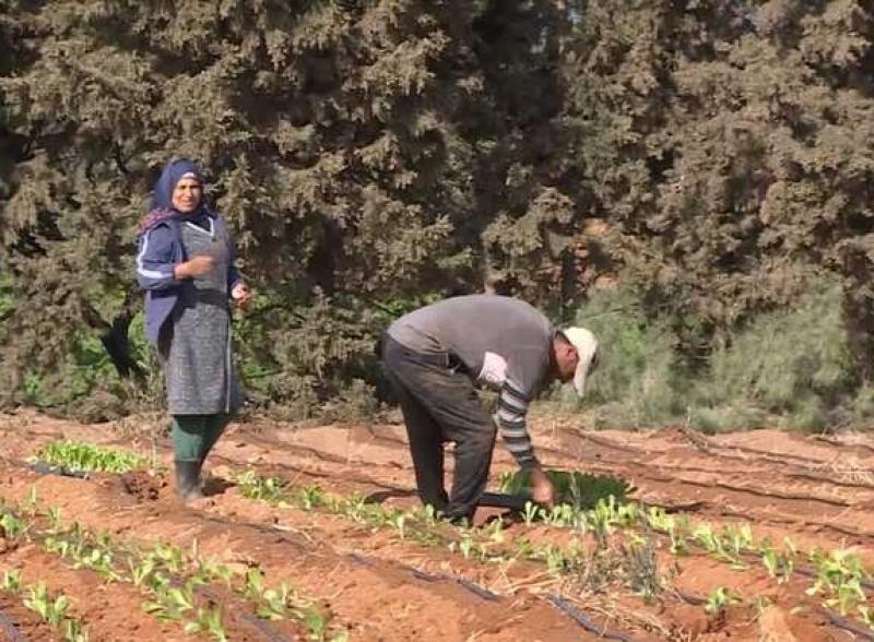 تونس تواجه الجفاف