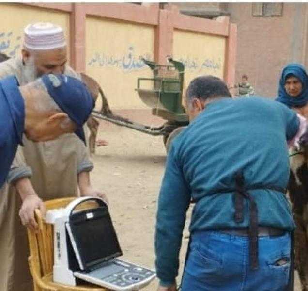 بيطري الشرقية يُجري المسح التناسلي الشامل لـ 4 آلاف رأس ماشية