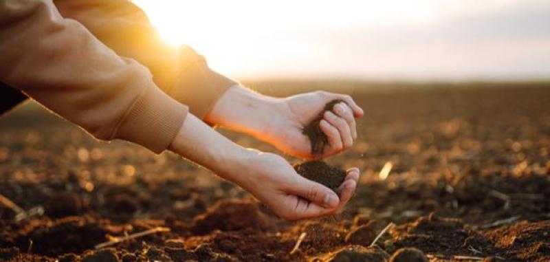 المفتي يوضح حكم طهارة من وجد الماء بعد التيمم