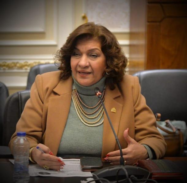 النائبة إيفلين متى 