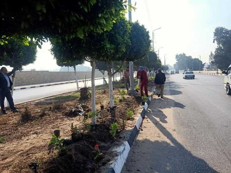 رفع كفاءة الجزيرة الوسطى بطريق بورسعيد بحي ثان مدينة الإسماعيلية