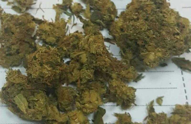 التحقيق مع راكب حاول تهريب كمية من مخدر الماريجوانا في مطار الغردقة