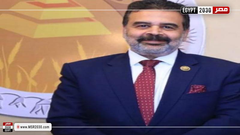 النائب مجدي الوليلي
