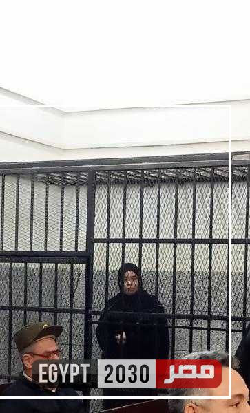 أولى جلسات محاكمة ربة منزل قتلت شقيقها بالفيوم