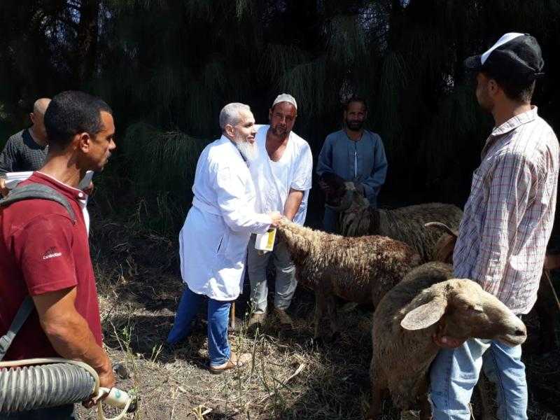 تقديم خدمات طبية وبيطرية وتوعوية للمواطنين  خلال قافلة بمركز شبراخيت بالبحيرة