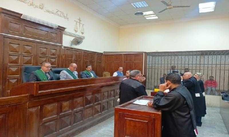 جنايات المحلة تحيل أوراق عاطل وصديقه للمفتي قتل شقيقه