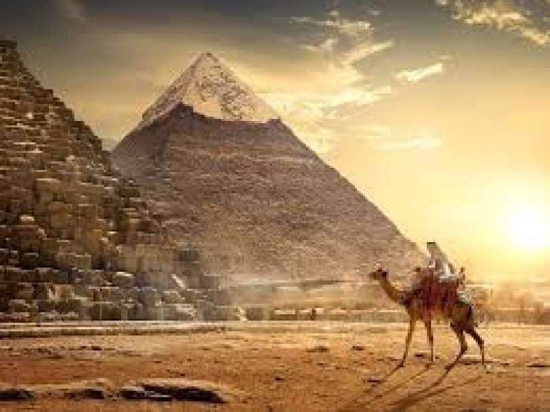 السياحة 