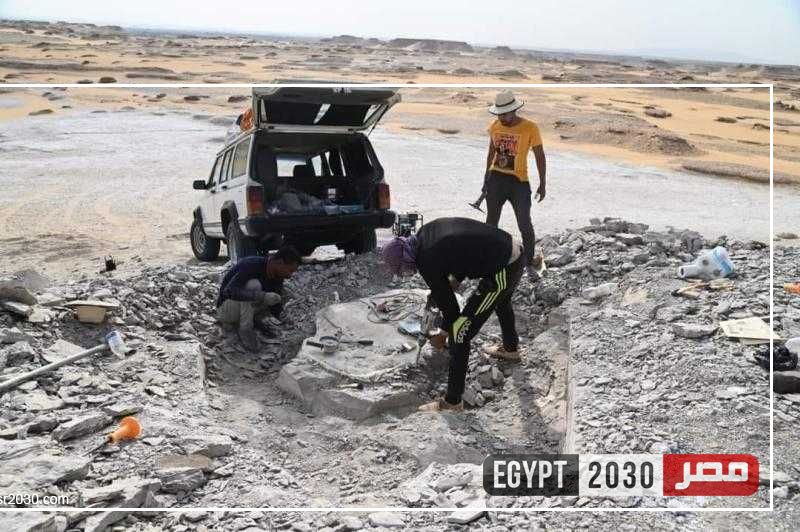 الزملوط يهنئ علماء جامعة الوادي الجديد بالكشف العلمي الحديث