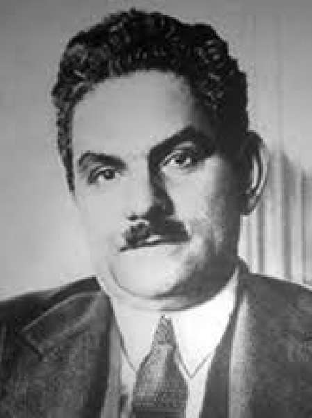 الدكتور سليم حسن 