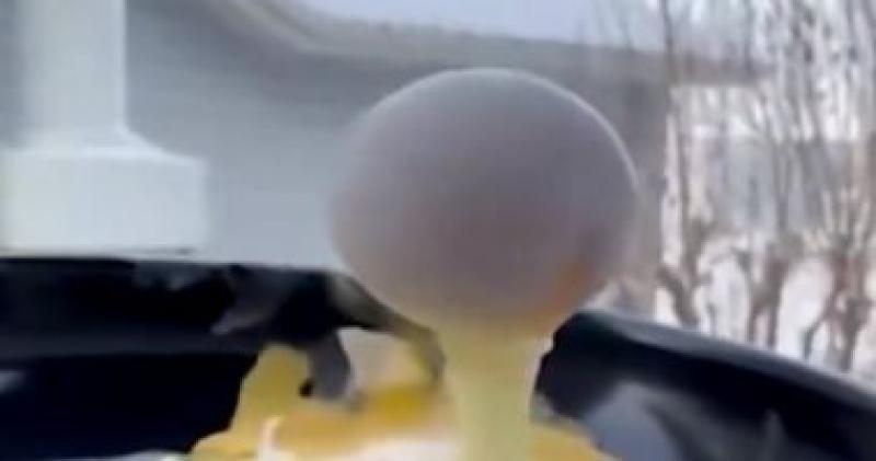 صورة ارشيفة 