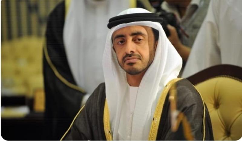 وزير الخارجية الإماراتي 