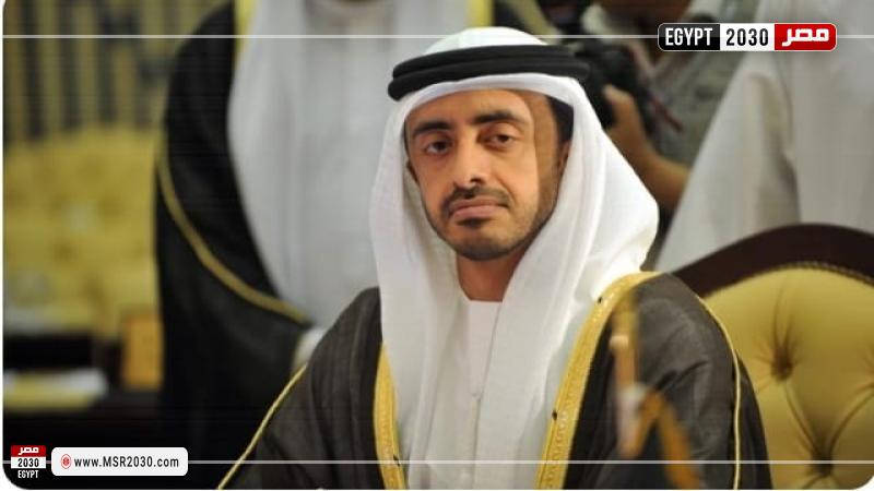 وزير الخارجية الإماراتي