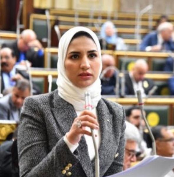 النائبة نشوى رائف 