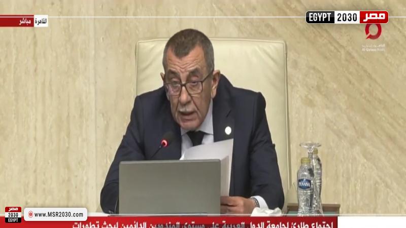 الأمين العام المساعد للجامعة العربية