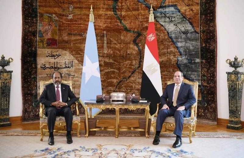 رئيس الصومال: علاقتنا مع مصر لا تمثل تهديدا لأي طرف آخر