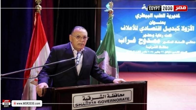 محافظ الشرقية 