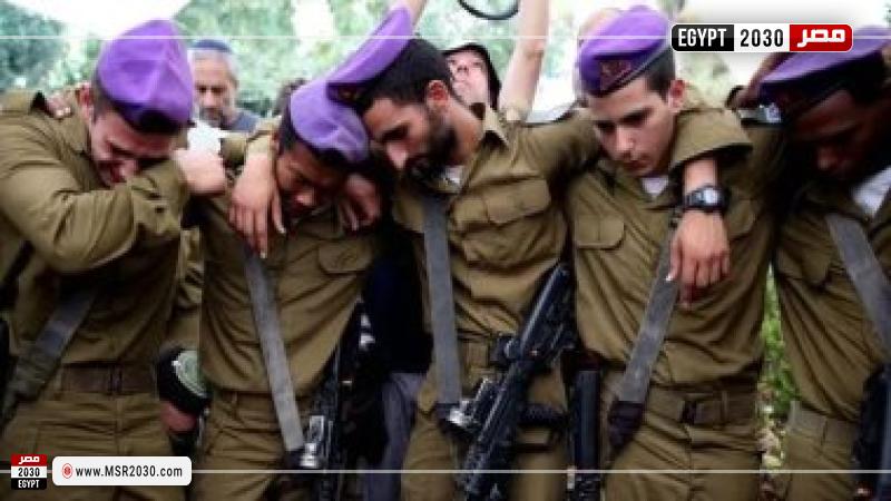 صورة ارشيفة