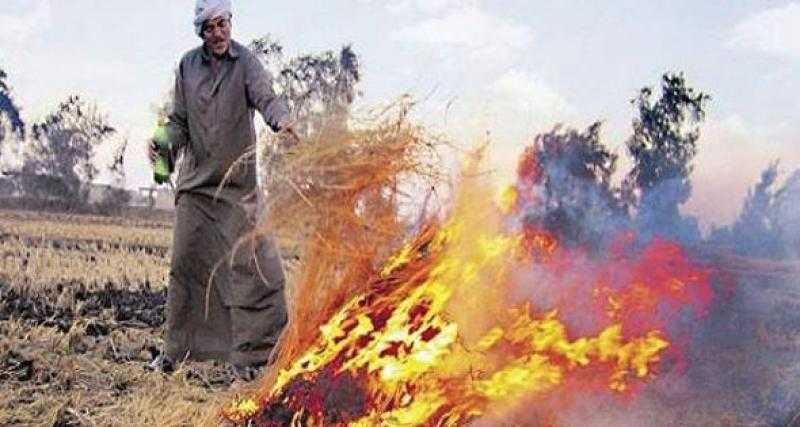 عبد المسيح سمعان: الدولة واجهت مشكلة قش الأرز بهذه الطرق.. «فيديو»