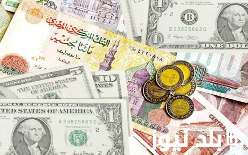 العملات الأجنبية 