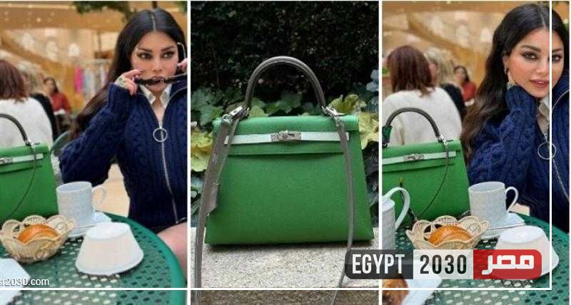 رقم خيالي .. سعر حقيبة هيفاء وهبي الصغيرة