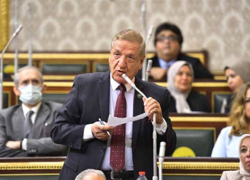 الدكتور فخري الفقي 